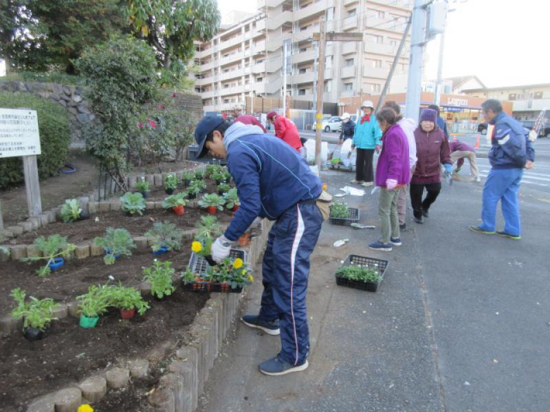 地域の花壇活動に参加してきました！