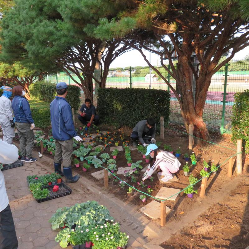 ボランティアさん達と花壇に花苗を植えました！